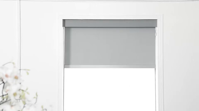 Rollershades 2