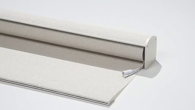 Rollershades 1